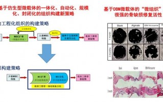 3d打印技术文献综述，3d打印技术的文献