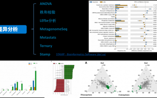 数据分析方法实验，数据分析方法实验报告