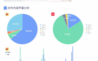 小红书投流数据分析，小红书投流数据分析报告