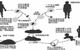 克隆技术对人类的影响，克隆技术对人类的影响的例子