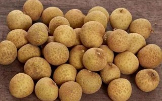 反季葡萄技术，反季葡萄技术要点