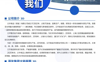 信美招聘信息技术，信美招聘信息技术岗怎么样