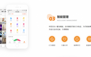 鹿鸣ai，鹿鸣爱错