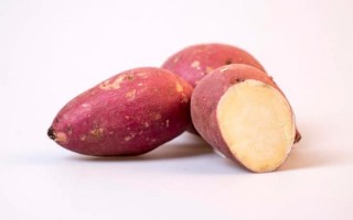 红薯技术，空中种植红薯技术