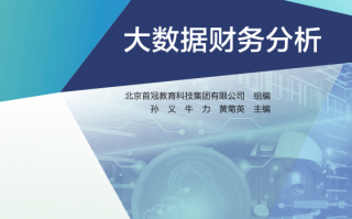 财务大数据分析教材，财务大数据分析教材pdf